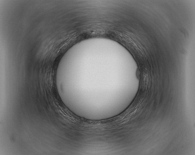 X0000112051250200908040942