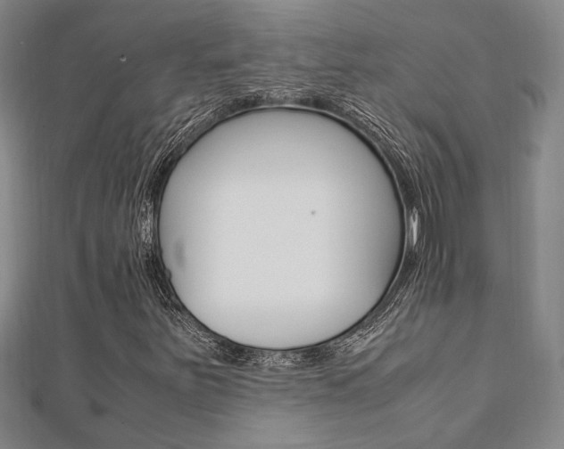 X0000112051251200908040942