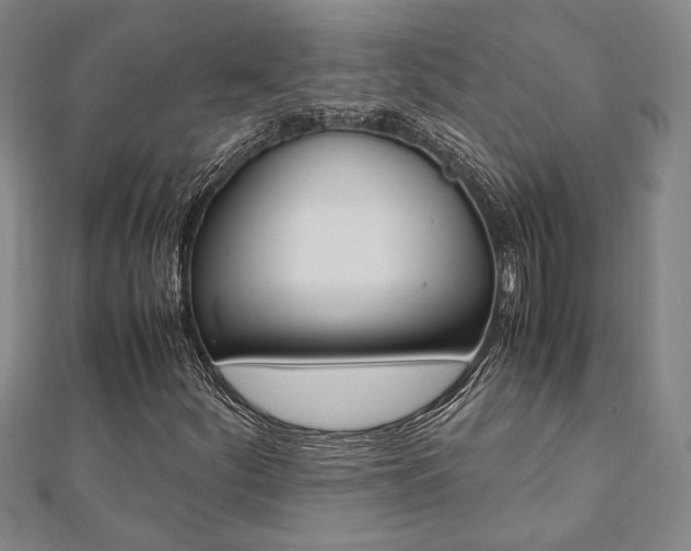 X0000112051252200908040942