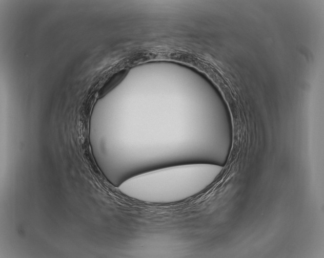 X0000112051253200908040942