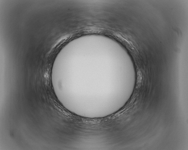 X0000112051254200908040942