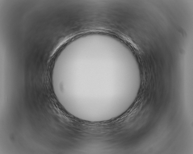 X0000112051256200908040942
