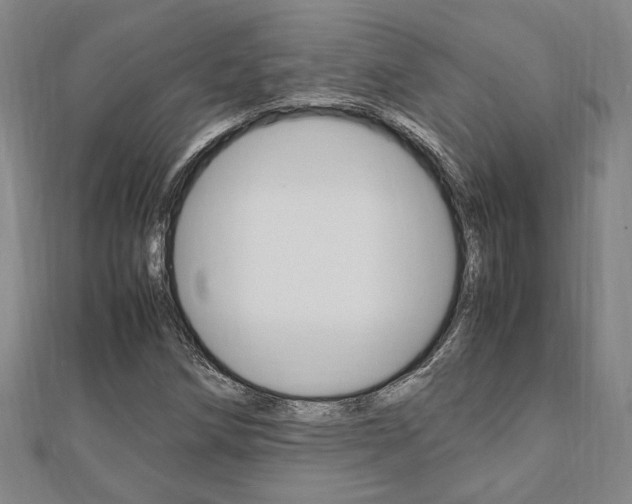 X0000112051258200908040942