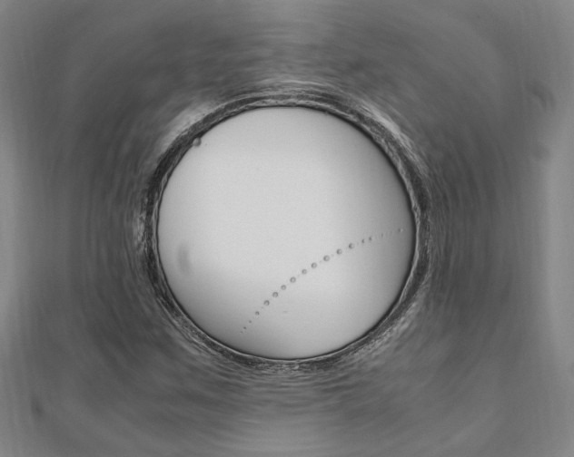 X0000112051259200908040942