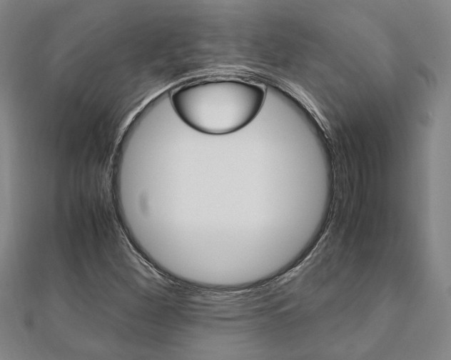 X0000112051260200908040942