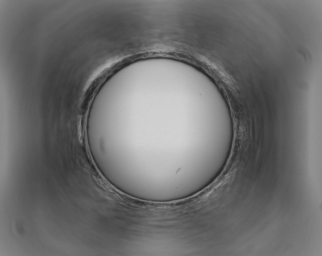 X0000112051262200908040942