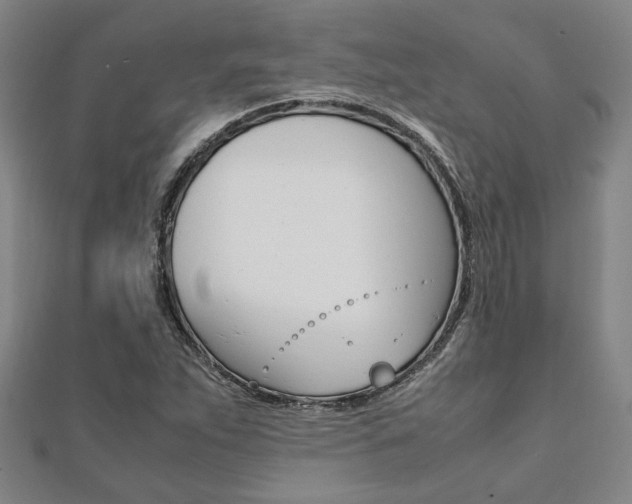 X0000112051263200908040942