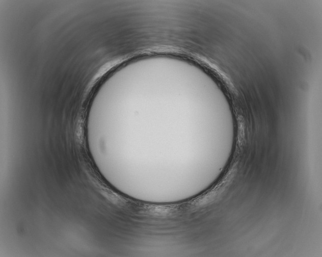 X0000112051266200908040942