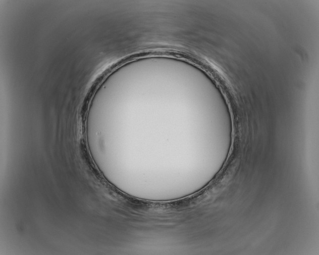 X0000112051267200908040942