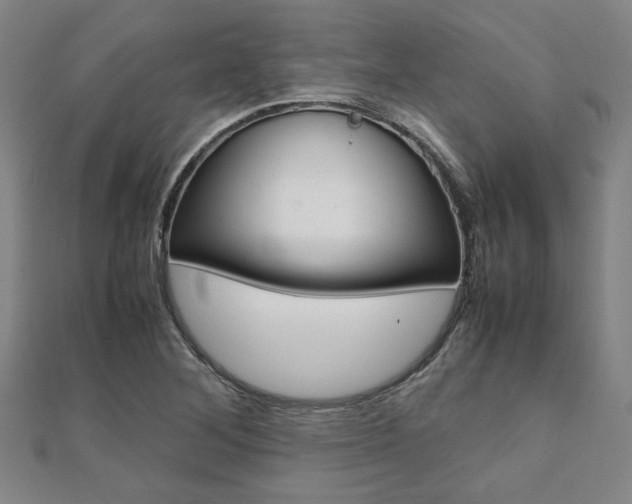 X0000112051268200908040942