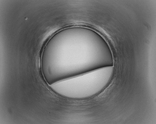 X0000112051269200908040942