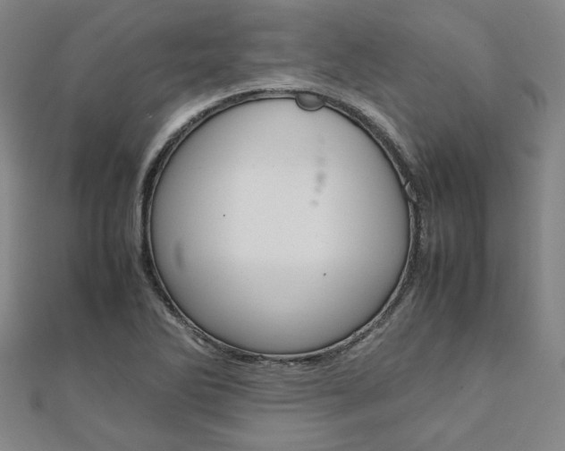 X0000112051270200908040942