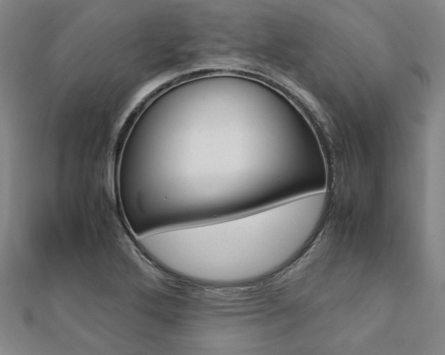 X0000112051272200908040942