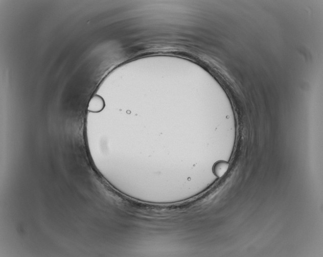X0000112051273200908040942