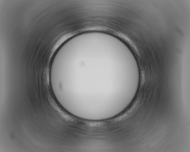 X0000112051274200908040942