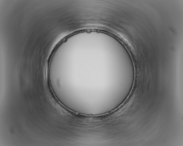 X0000112051275200908040942