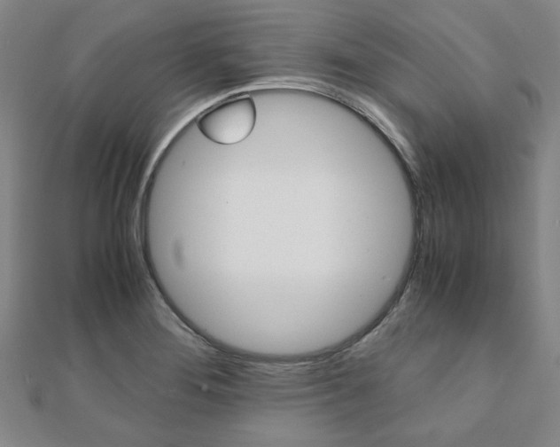 X0000112051276200908040942