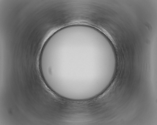 X0000112051277200908040942