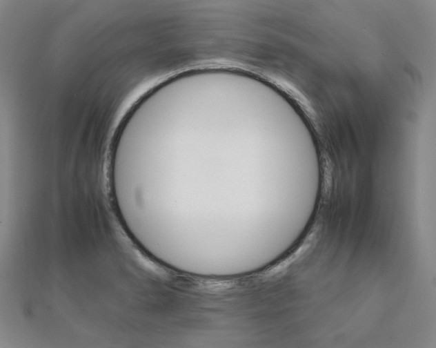 X0000112051278200908040942