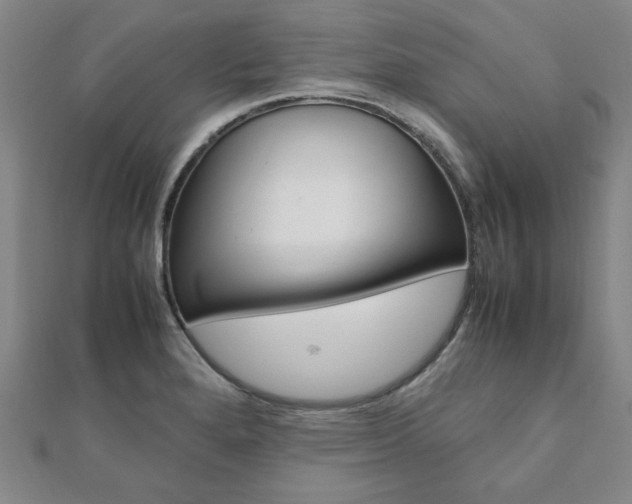 X0000112051280200908040942