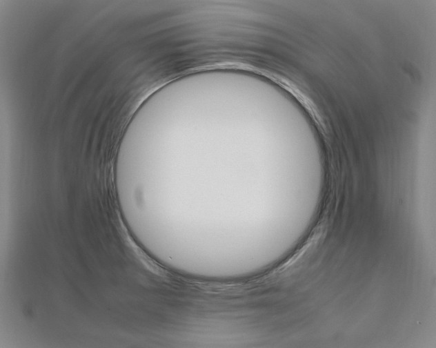 X0000112051281200908040942