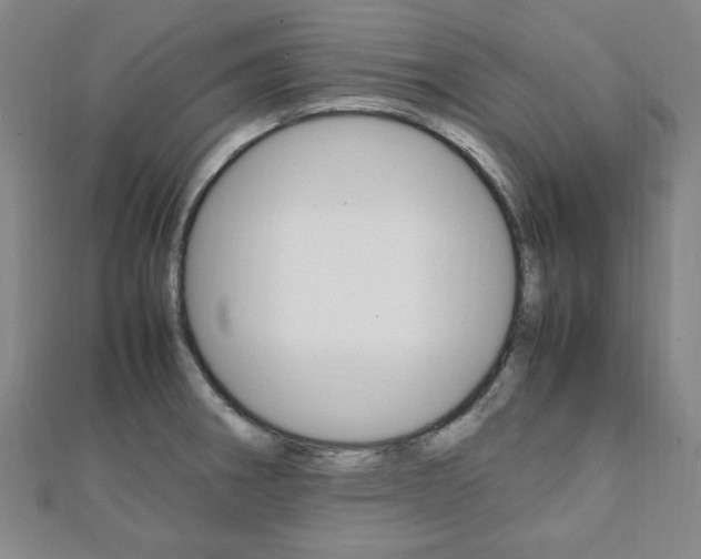 X0000112051282200908040942