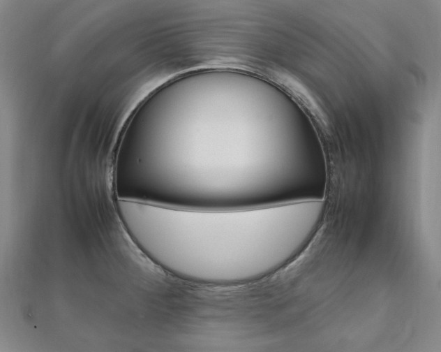 X0000112051284200908040942