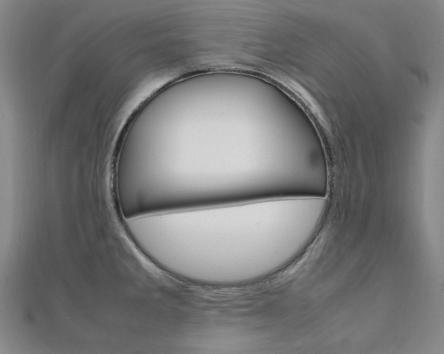 X0000112051285200908040942