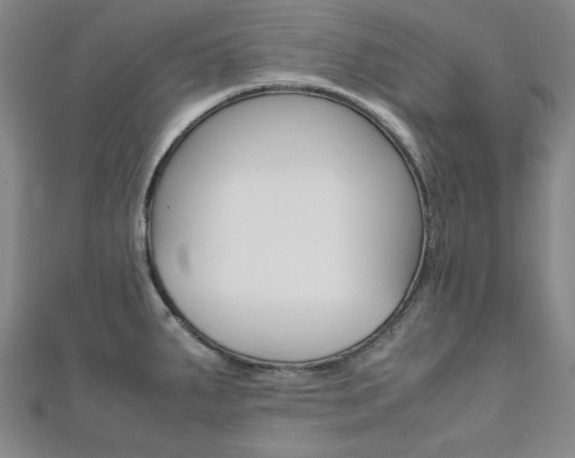 X0000112051287200908040942