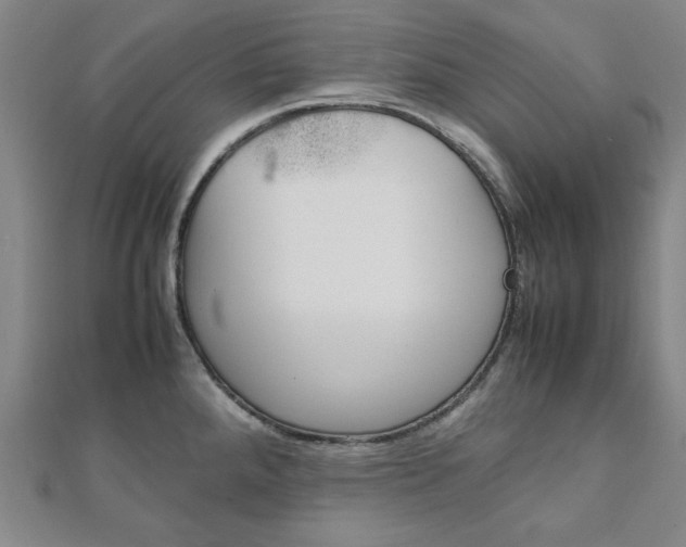 X0000112051288200908040942