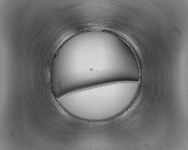 X0000112051289200908040942