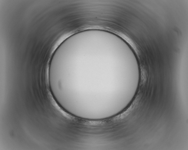 X0000112051290200908040942