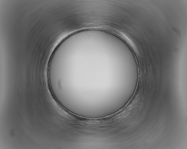 X0000112051291200908040942