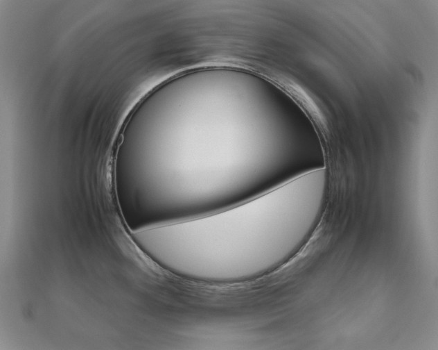 X0000112051292200908040942