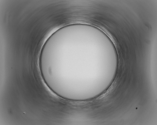 X0000112051293200908040942