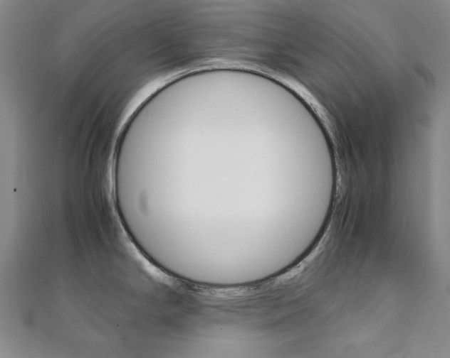 X0000112051294200908040942