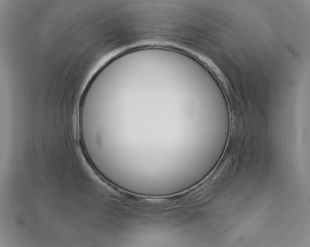 X0000112051295200908040942