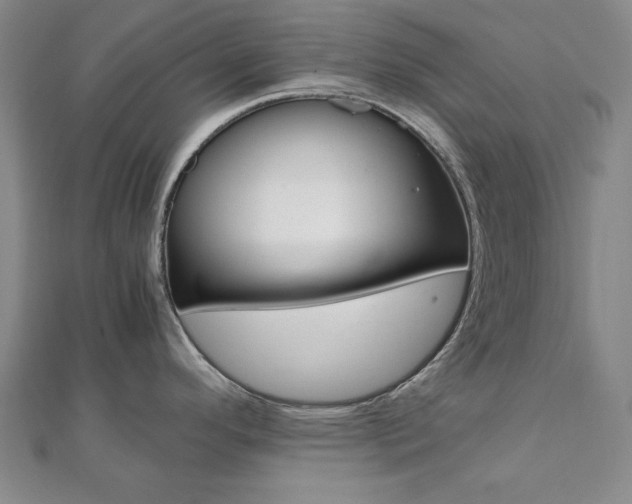 X0000112051296200908040942