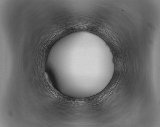 X0000112051297200908040941