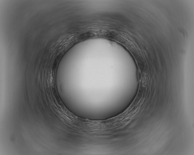 X0000112051298200908040941
