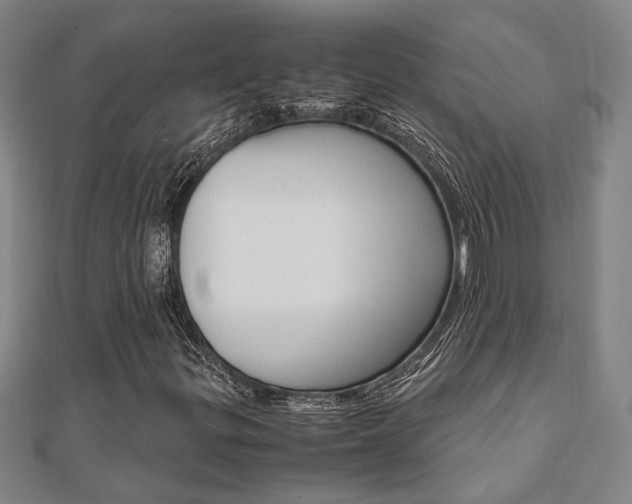 X0000112051299200908040941