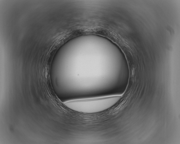 X0000112051300200908040941
