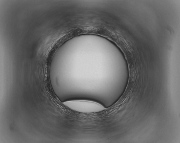 X0000112051301200908040941