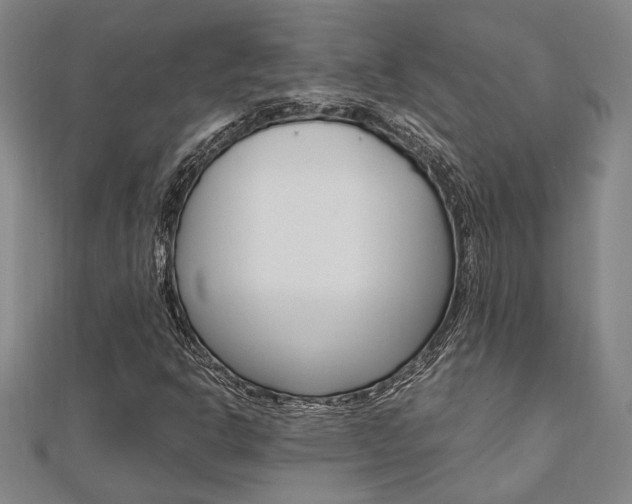 X0000112051302200908040941