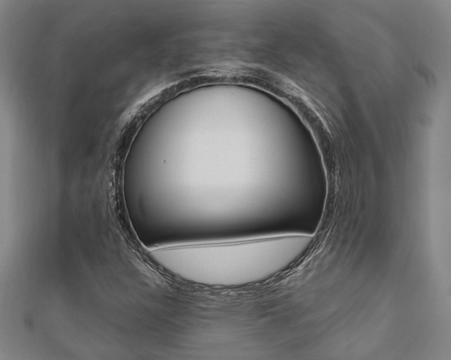 X0000112051304200908040941