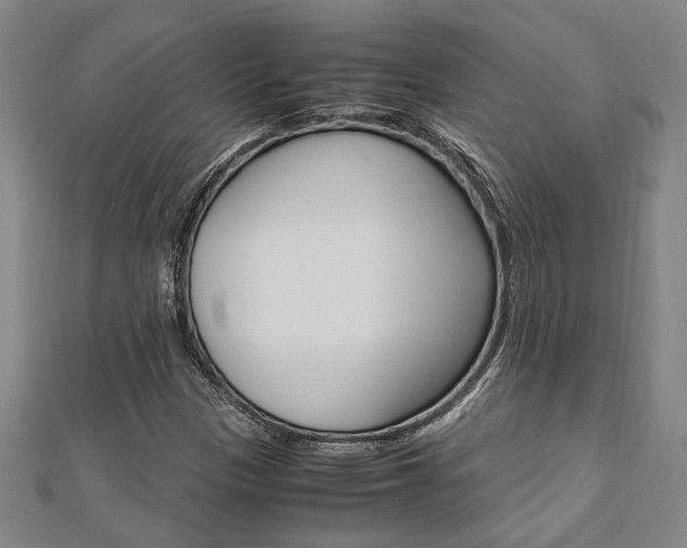 X0000112051305200908040941