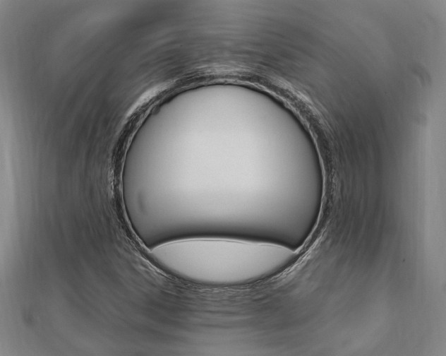 X0000112051306200908040941