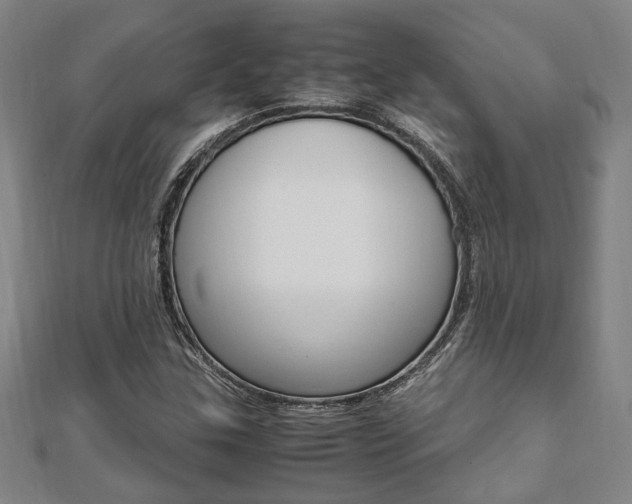 X0000112051307200908040941