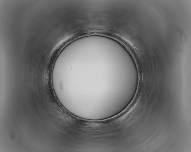 X0000112051309200908040941