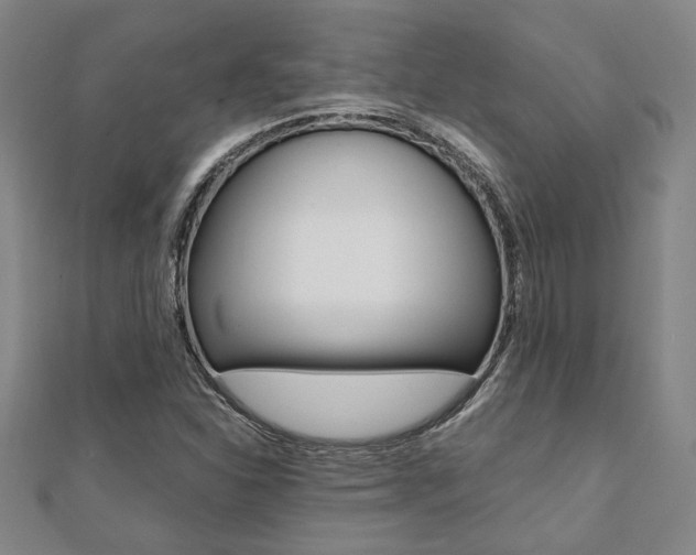X0000112051310200908040941